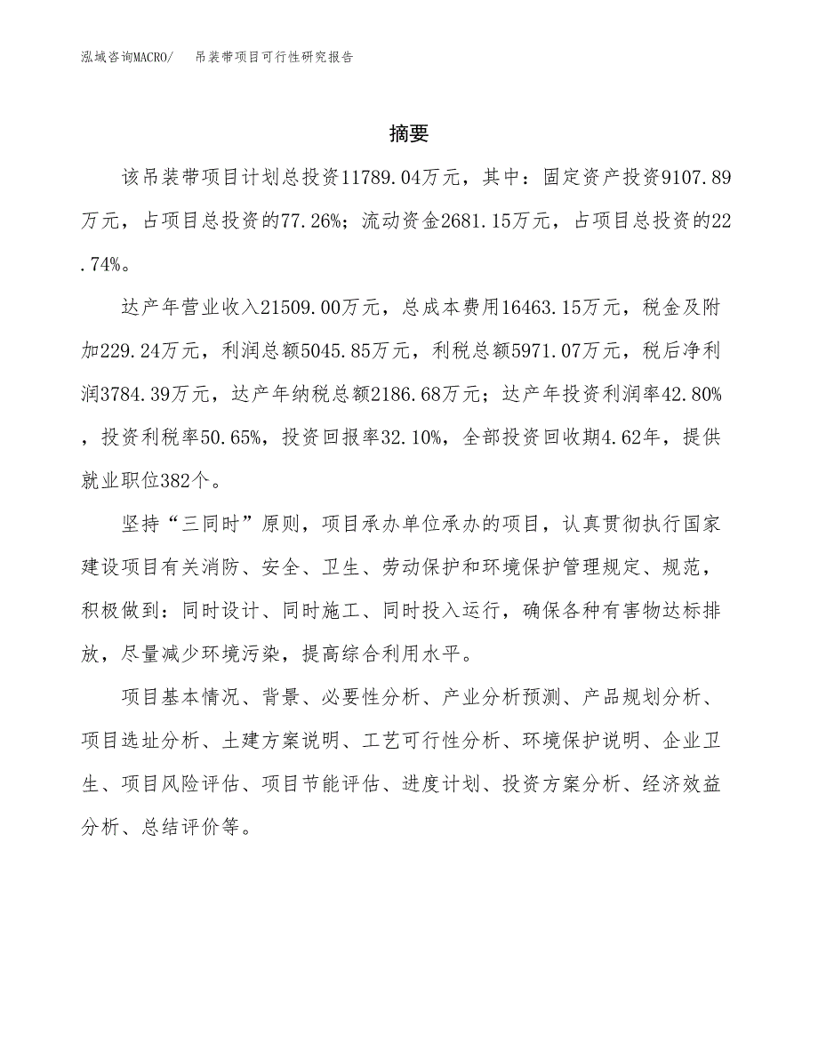 吊装带项目可行性研究报告（总投资12000万元）（55亩）_第2页