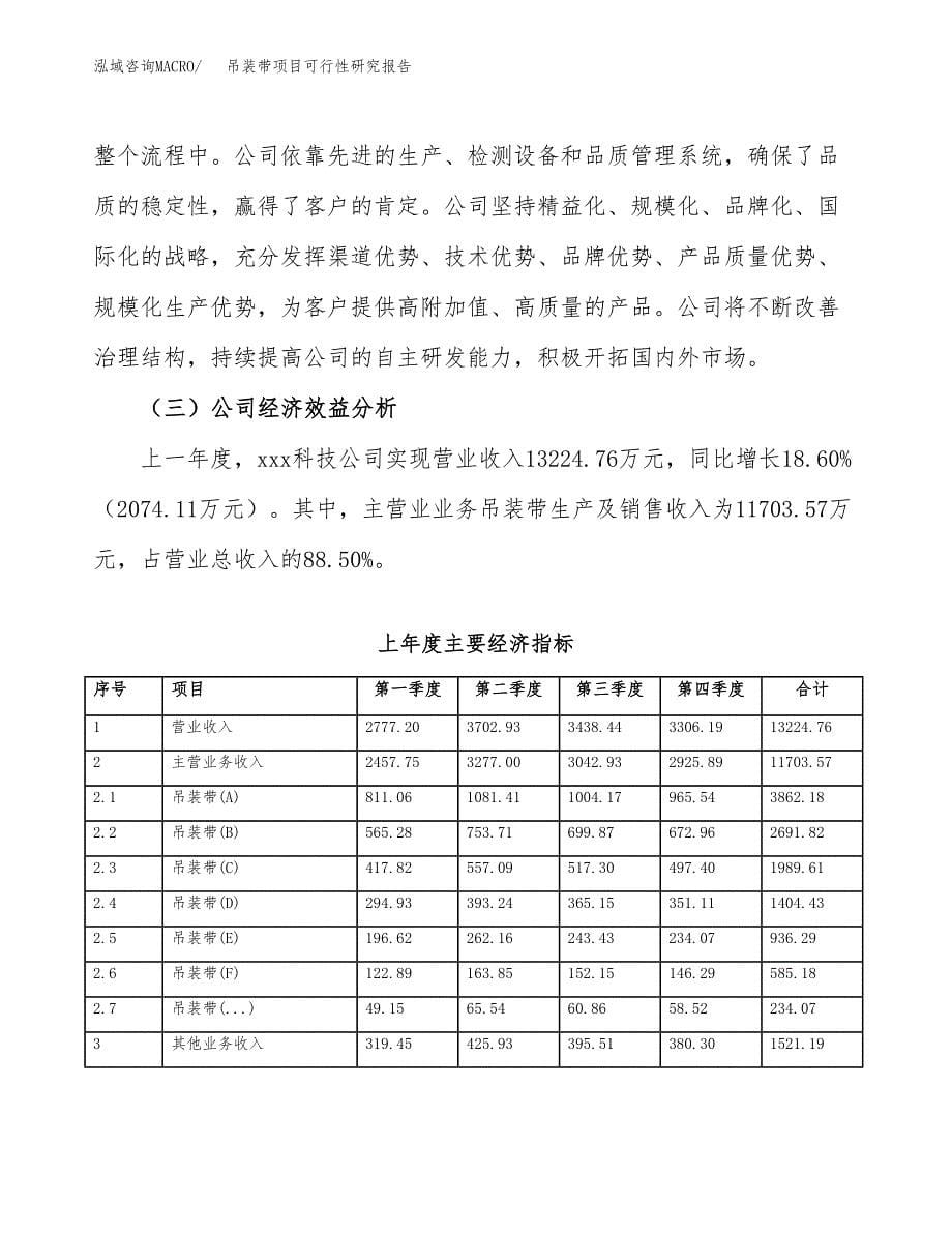 吊装带项目可行性研究报告（总投资12000万元）（55亩）_第5页