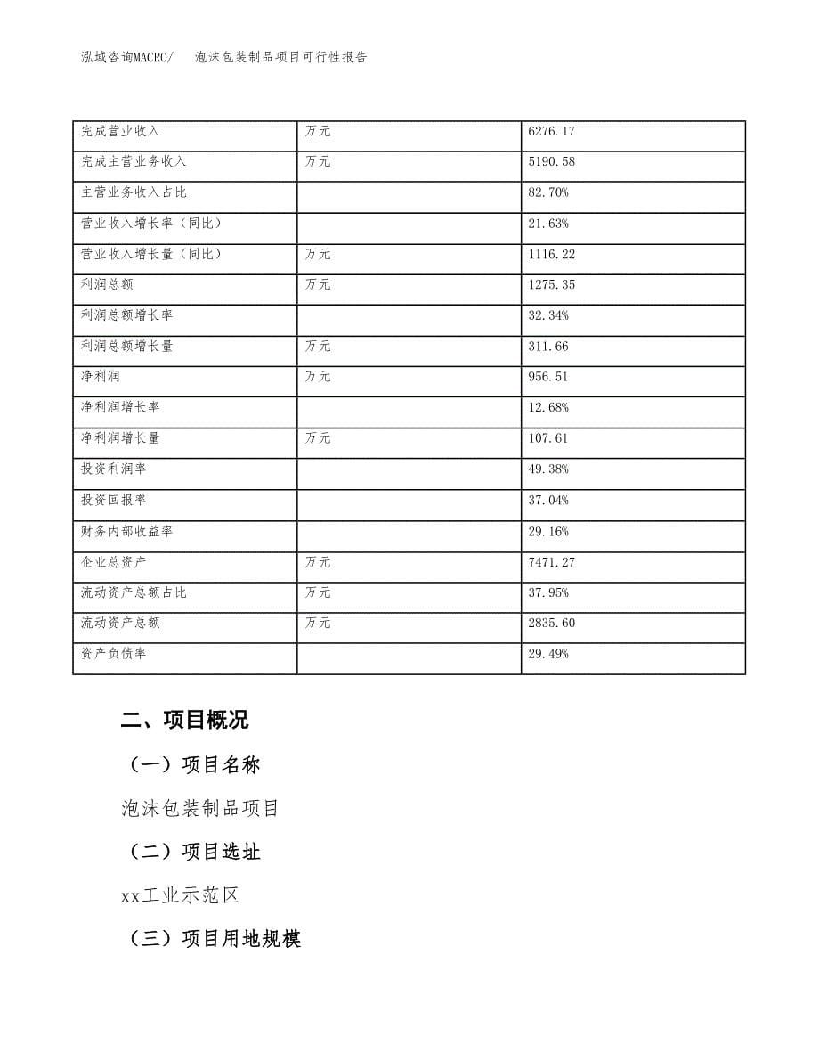泡沫包装制品项目可行性报告(招商引资).docx_第5页
