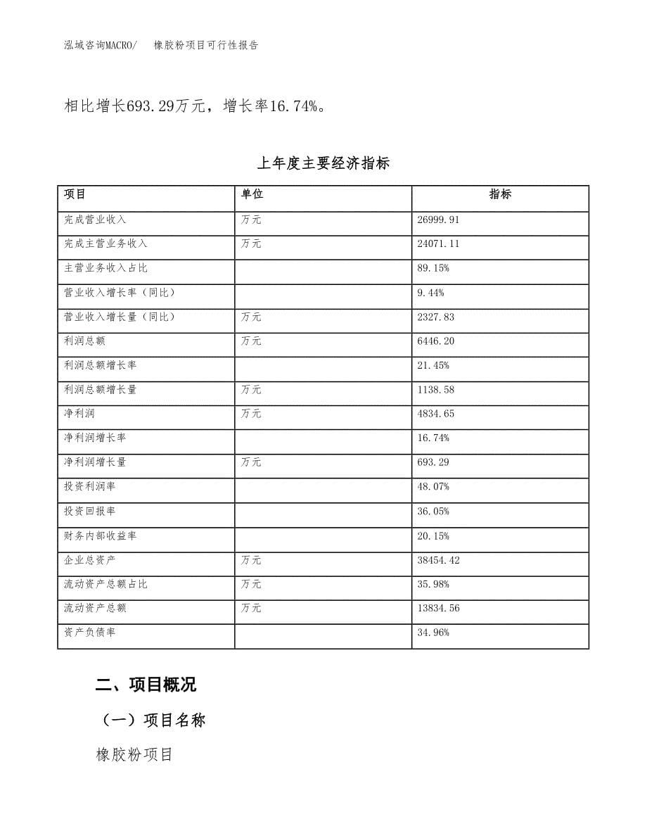 橡胶粉项目可行性报告(招商引资) (1).docx_第5页