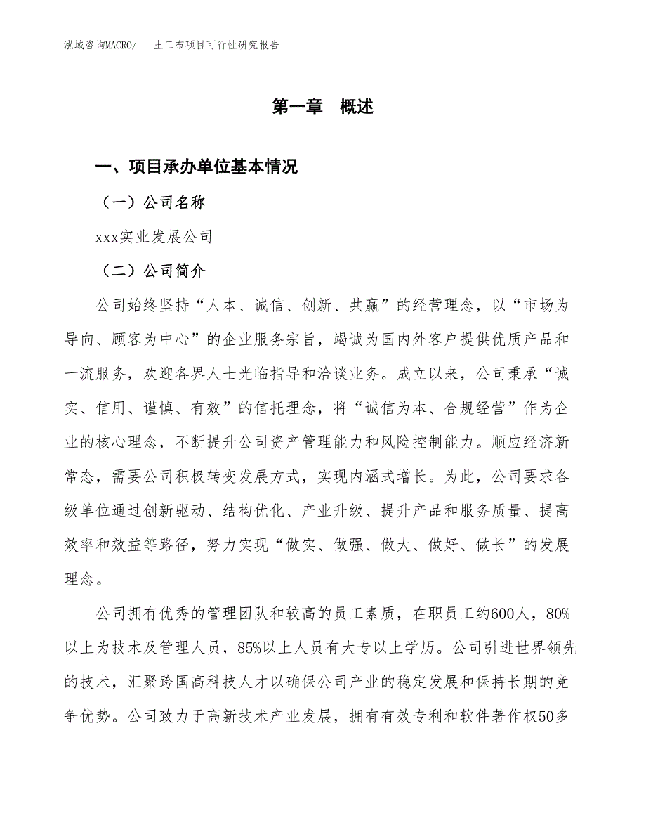 土工布项目可行性研究报告（总投资12000万元）（58亩）_第4页