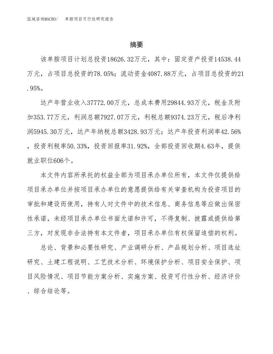 单胺项目可行性研究报告（总投资19000万元）（83亩）_第2页