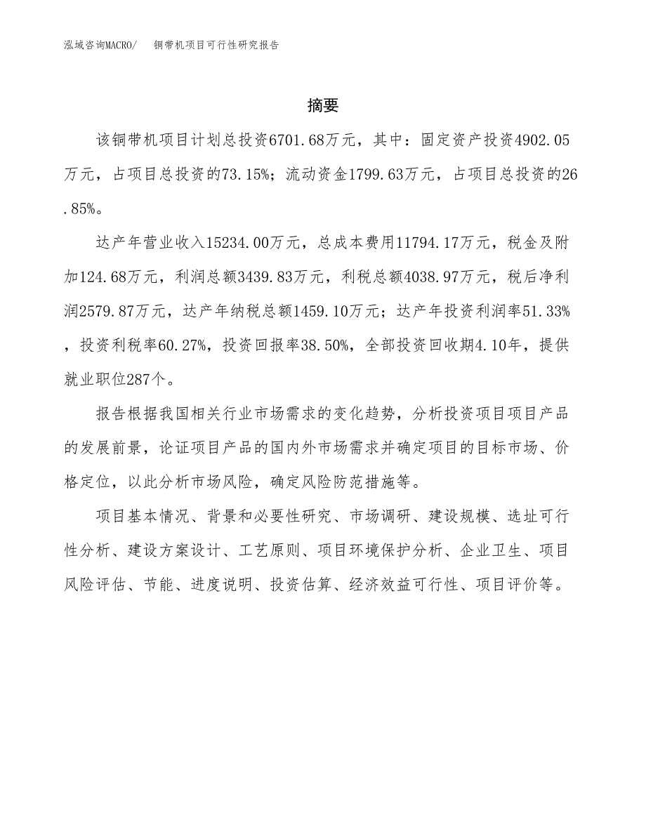 铜带机项目可行性研究报告（总投资7000万元）（25亩）_第2页