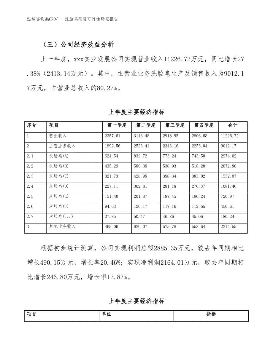 洗脸皂项目可行性研究报告（总投资11000万元）（47亩）_第5页