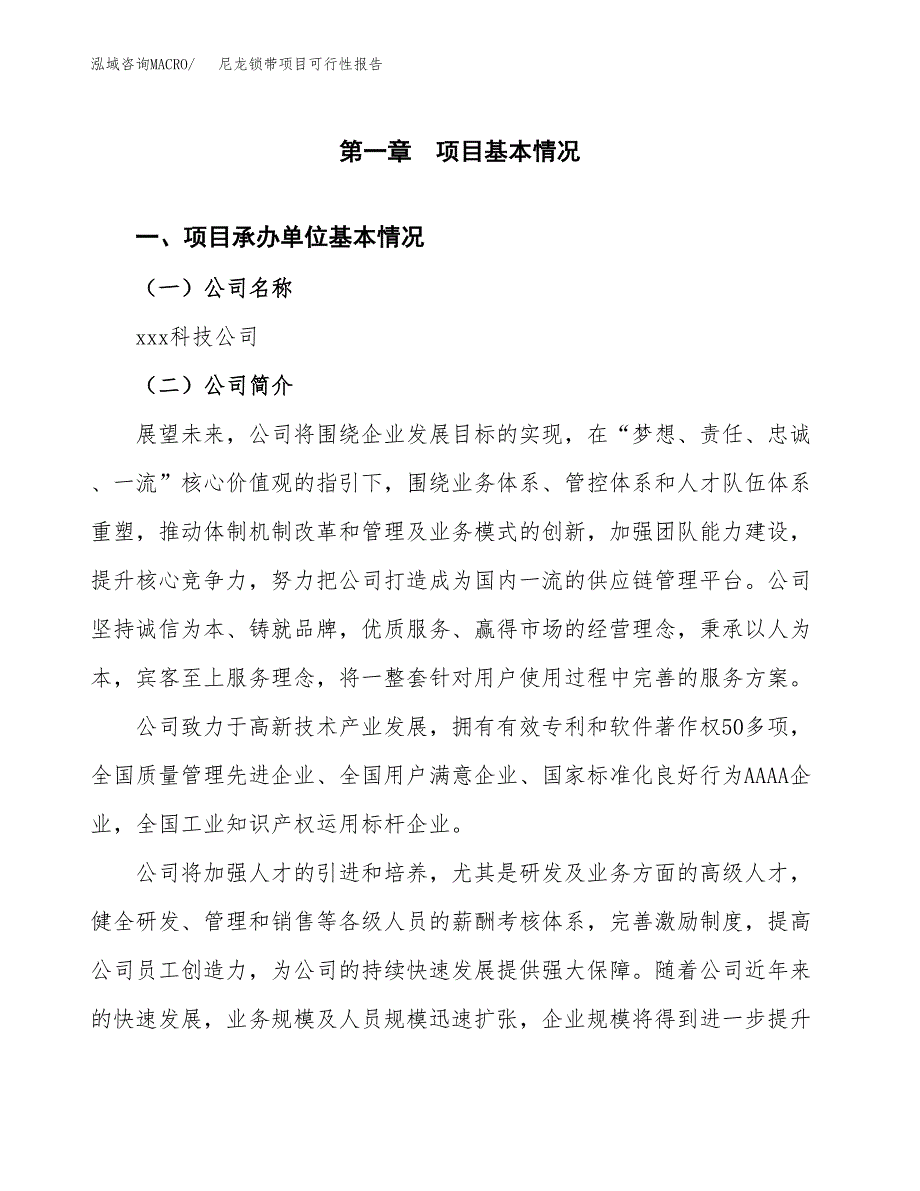 尼龙锁带项目可行性报告(招商引资).docx_第3页