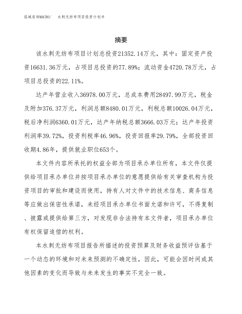 水刺无纺布项目投资计划书(招商引资) (2).docx_第2页