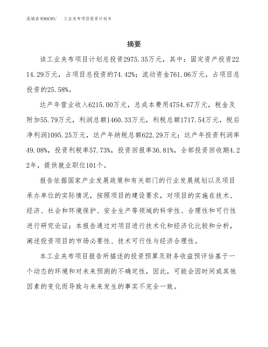 工业夹布项目投资计划书(招商引资).docx_第2页