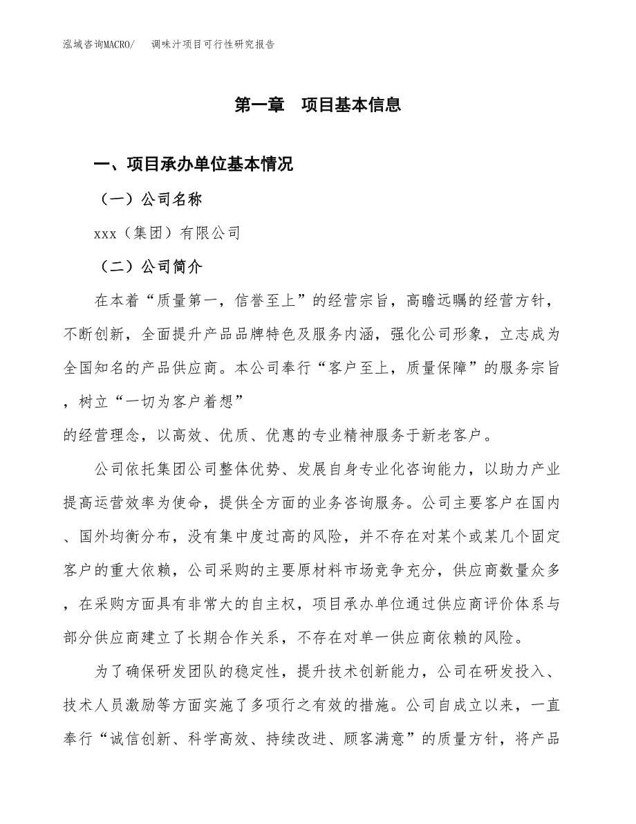 调味汁项目可行性研究报告（总投资8000万元）（31亩）_第5页