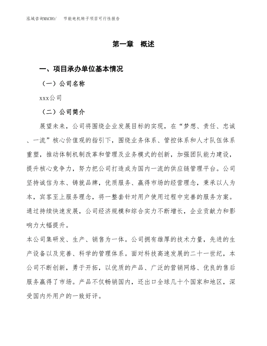 节能电机转子项目可行性报告(招商引资).docx_第3页