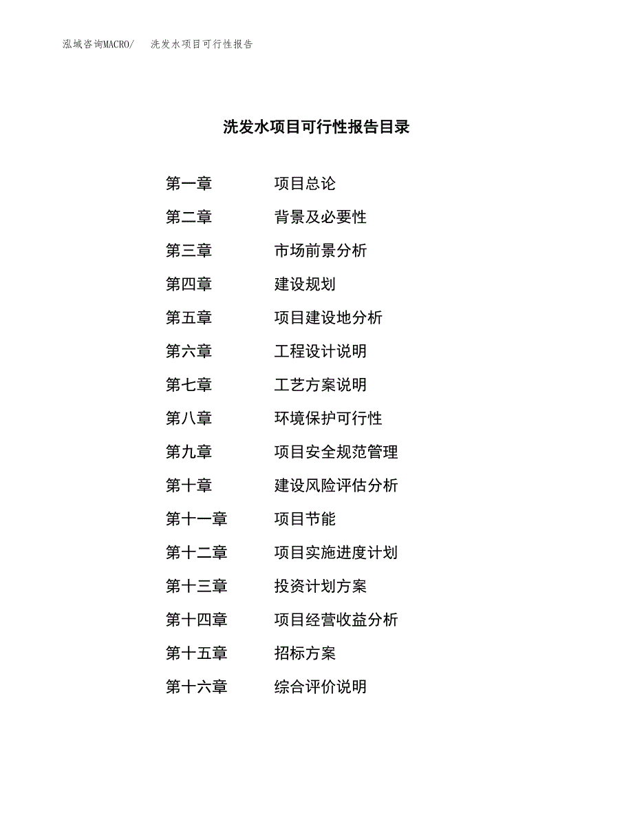 洗发水项目可行性报告(招商引资) (1).docx_第2页