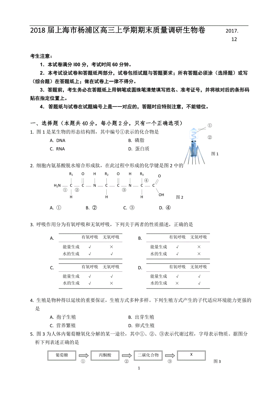 2018届上海市杨浦区高三（上学期）期末质量调研生物卷.doc_第1页