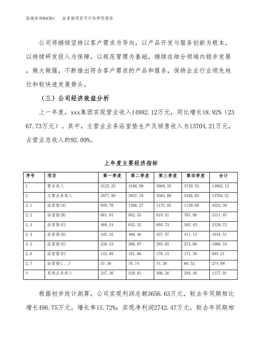 浴室垫项目可行性研究报告（总投资16000万元）（72亩）_第5页