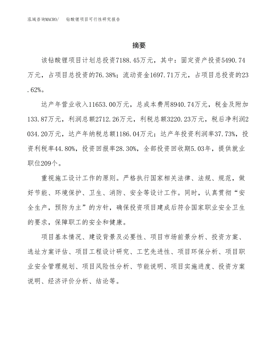 钻酸锂项目可行性研究报告（总投资7000万元）（33亩）_第2页