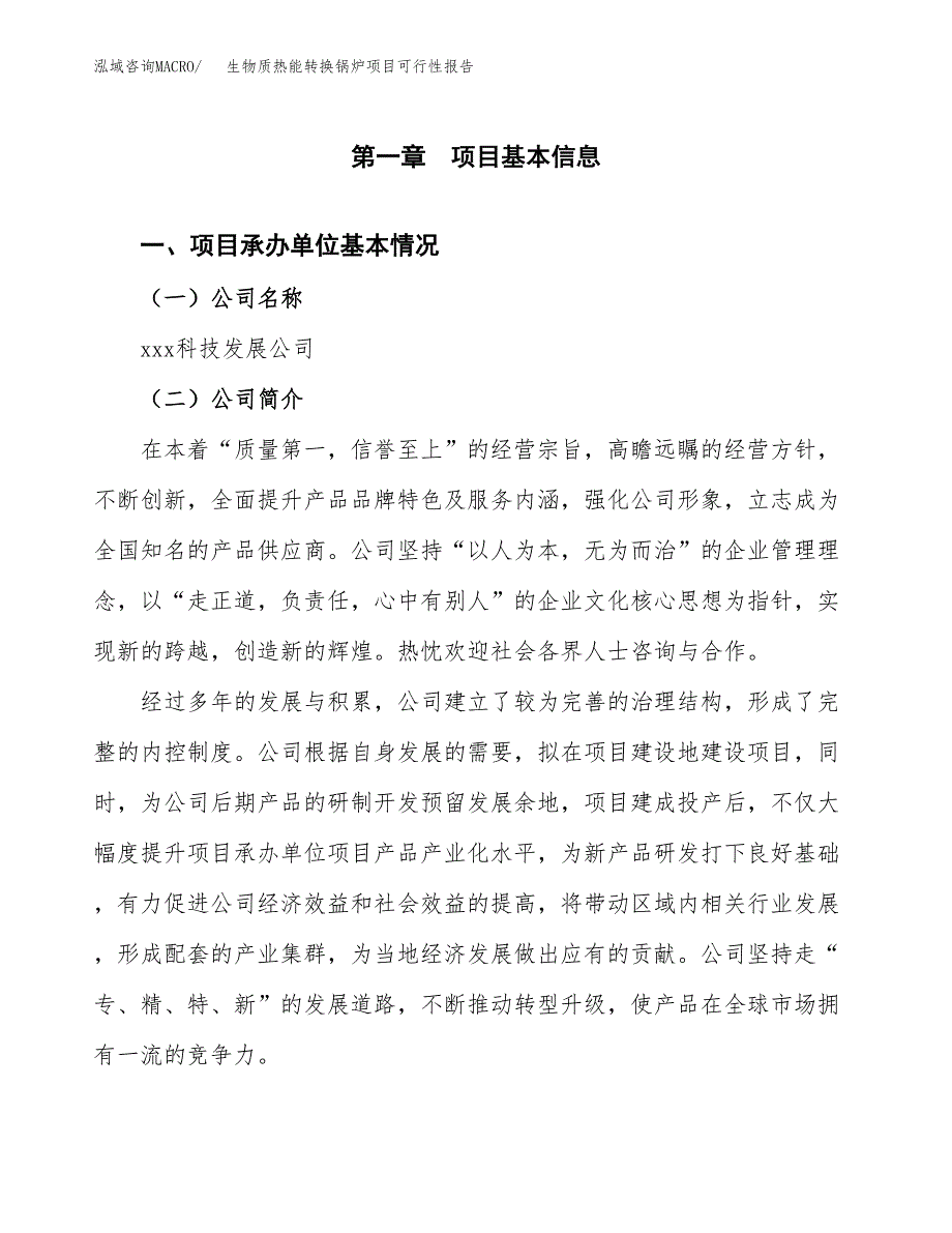 生物质热能转换锅炉项目可行性报告(招商引资).docx_第3页