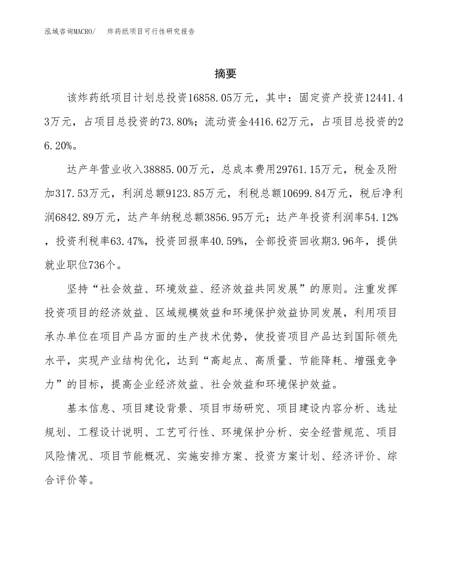 炸药纸项目可行性研究报告（总投资17000万元）（62亩）_第2页