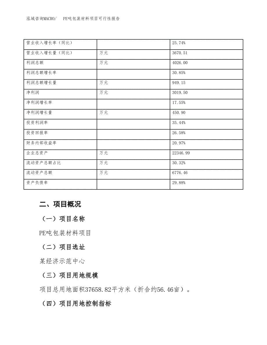 PE吨包装材料项目可行性报告(招商引资).docx_第5页