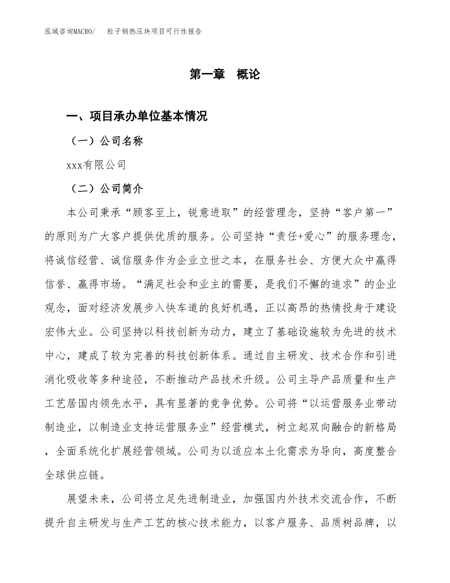 粒子钢热压块项目可行性报告(招商引资).docx_第3页