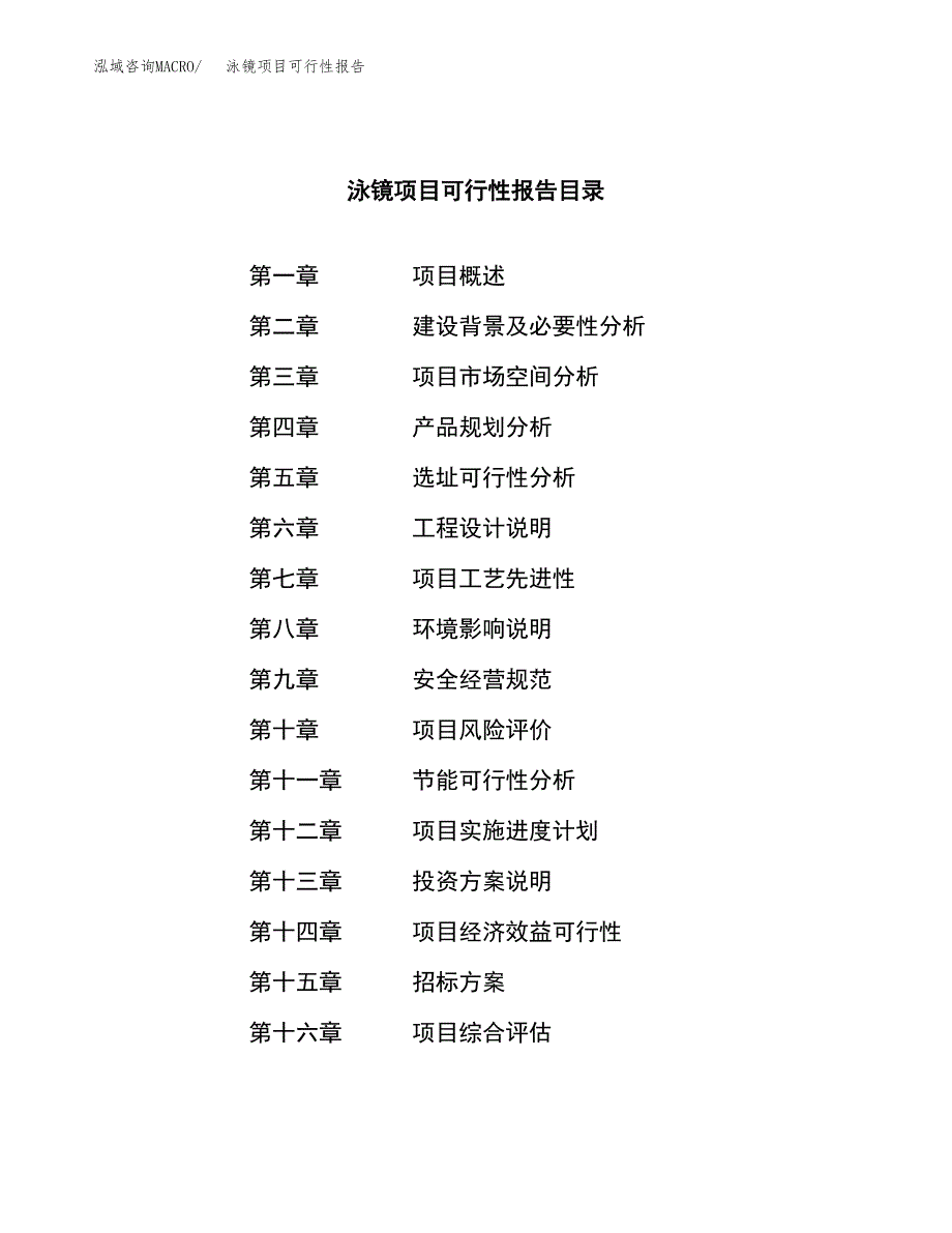 泳镜项目可行性报告(招商引资).docx_第2页