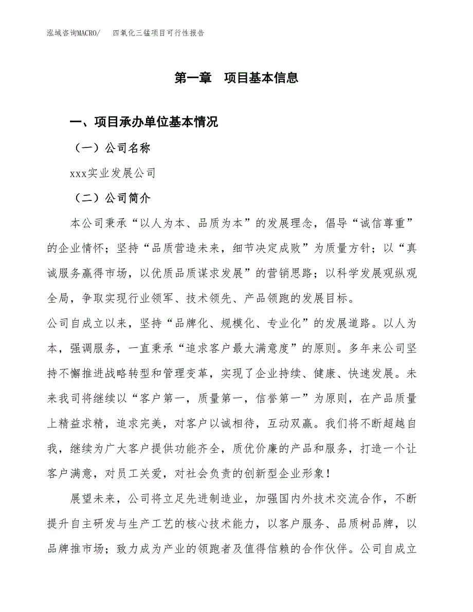 四氧化三锰项目可行性报告(招商引资).docx_第3页