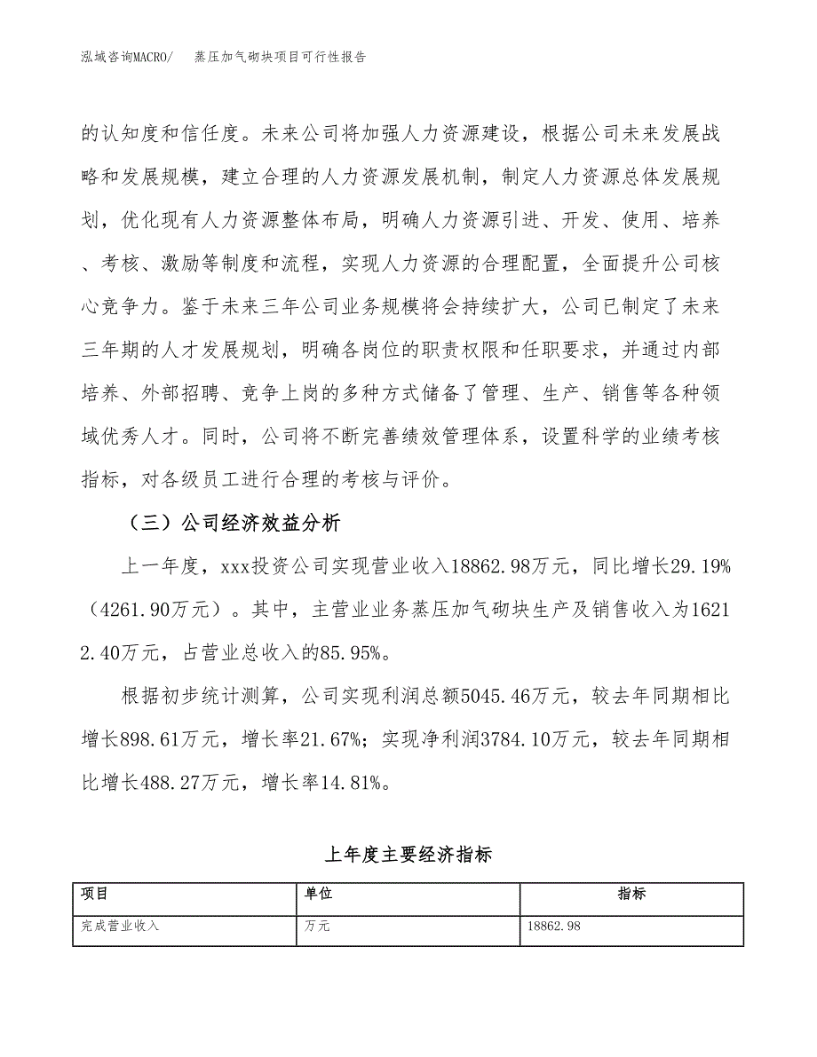 蒸压加气砌块项目可行性报告(招商引资) (2).docx_第4页