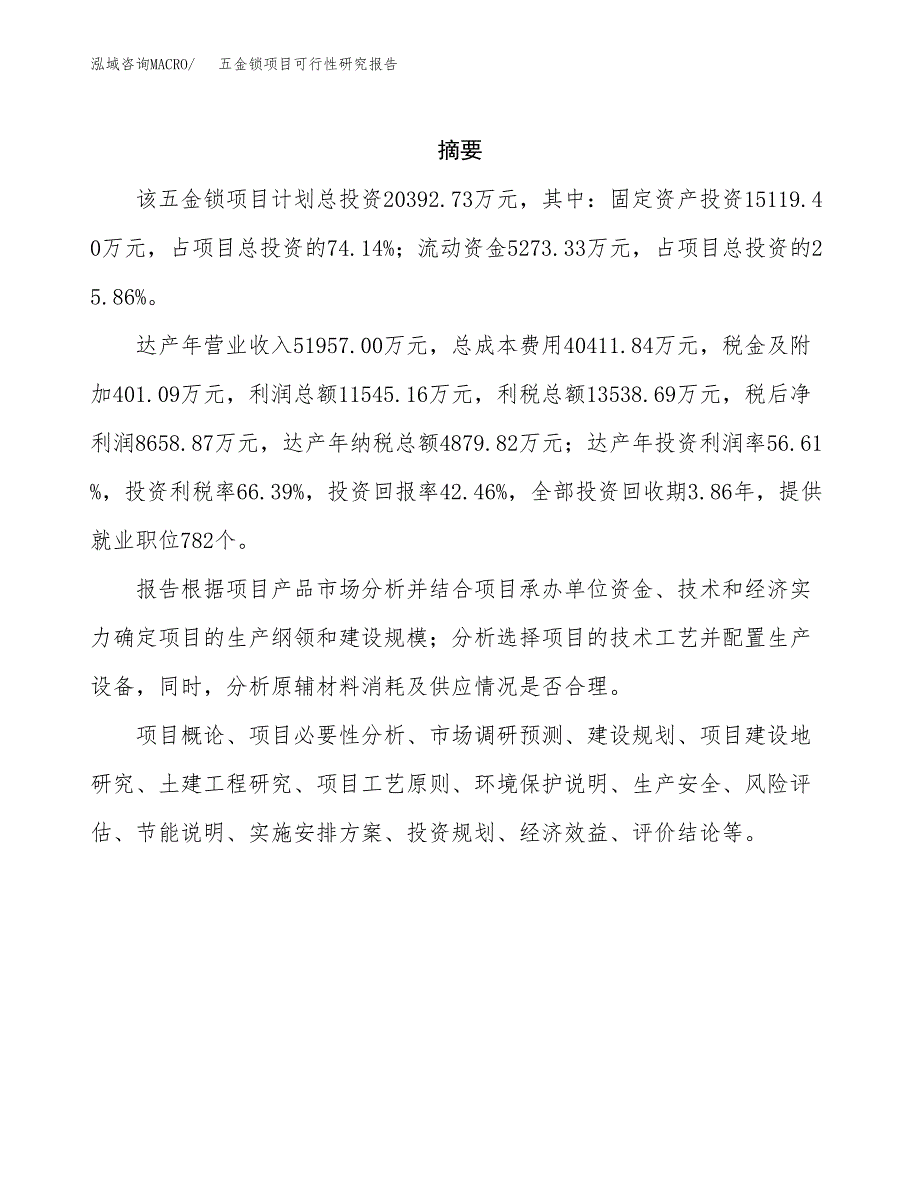 五金锁项目可行性研究报告（总投资20000万元）（79亩）_第2页