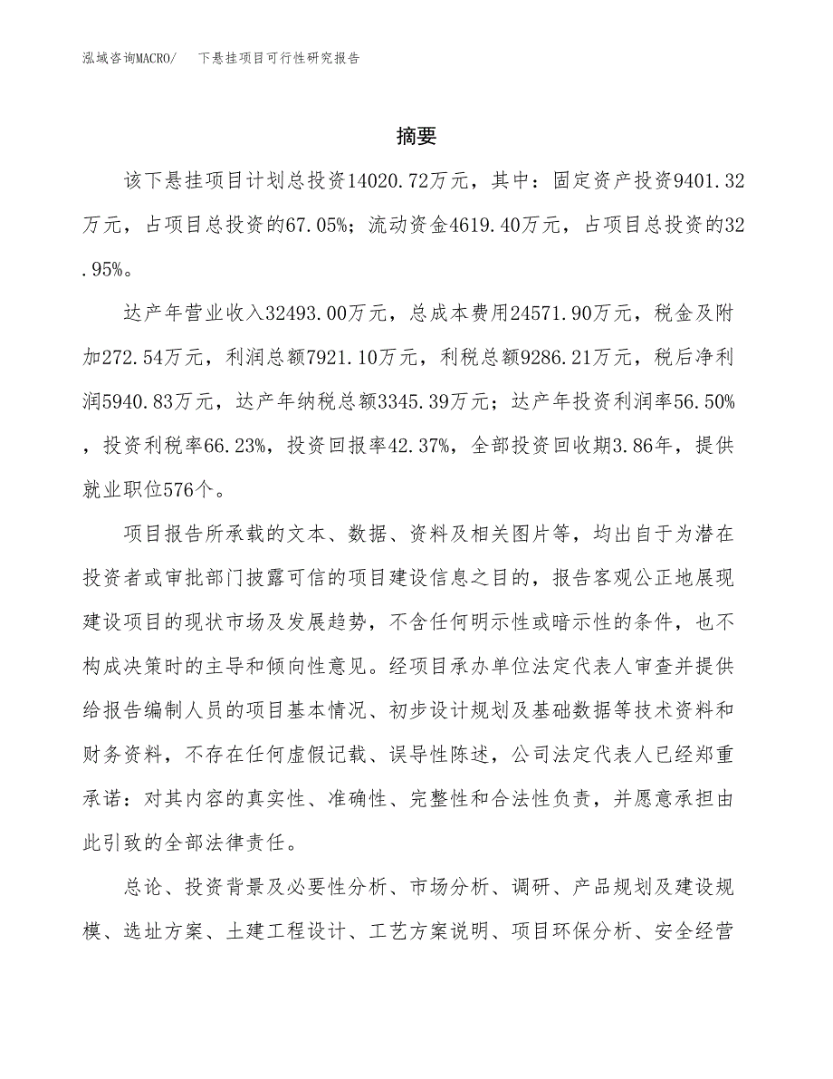 下悬挂项目可行性研究报告（总投资14000万元）（53亩）_第2页