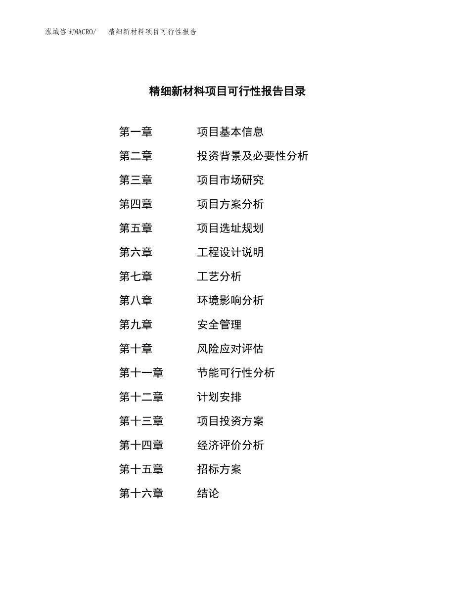 精细新材料项目可行性报告(招商引资).docx_第2页