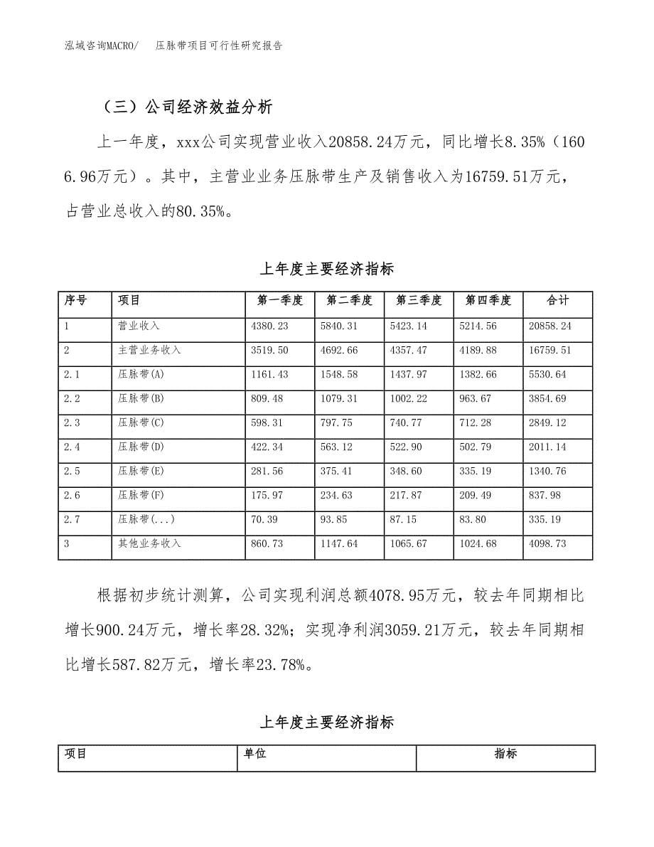 压脉带项目可行性研究报告（总投资12000万元）（48亩）_第5页