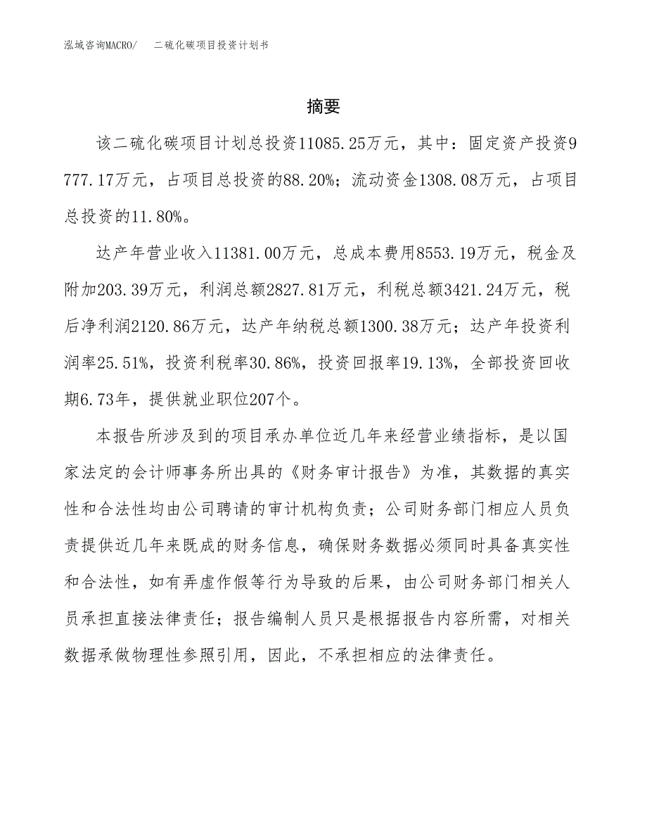 二硫化碳项目投资计划书(招商引资) (1).docx_第2页