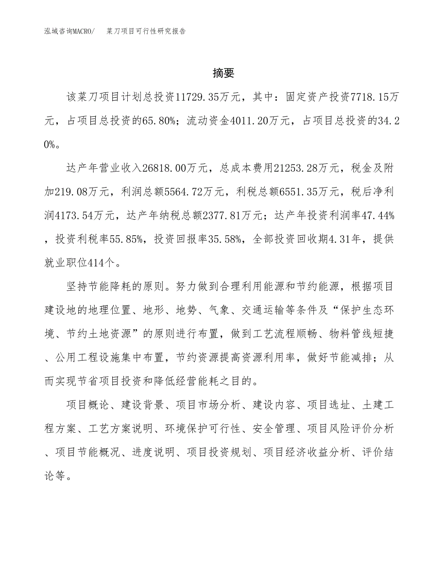 菜刀项目可行性研究报告（总投资12000万元）（48亩）_第2页