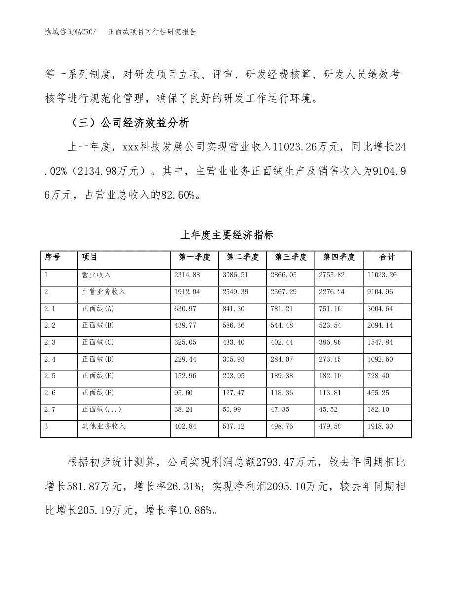 正面绒项目可行性研究报告（总投资8000万元）（37亩）_第5页