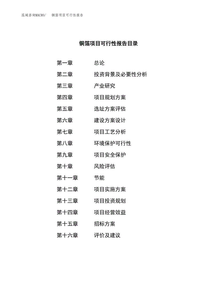 铜箔项目可行性报告(招商引资) (1).docx_第2页