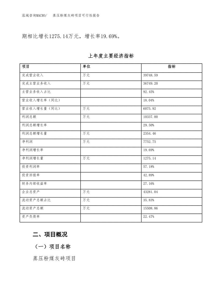 蒸压粉煤灰砖项目可行性报告(招商引资).docx_第5页