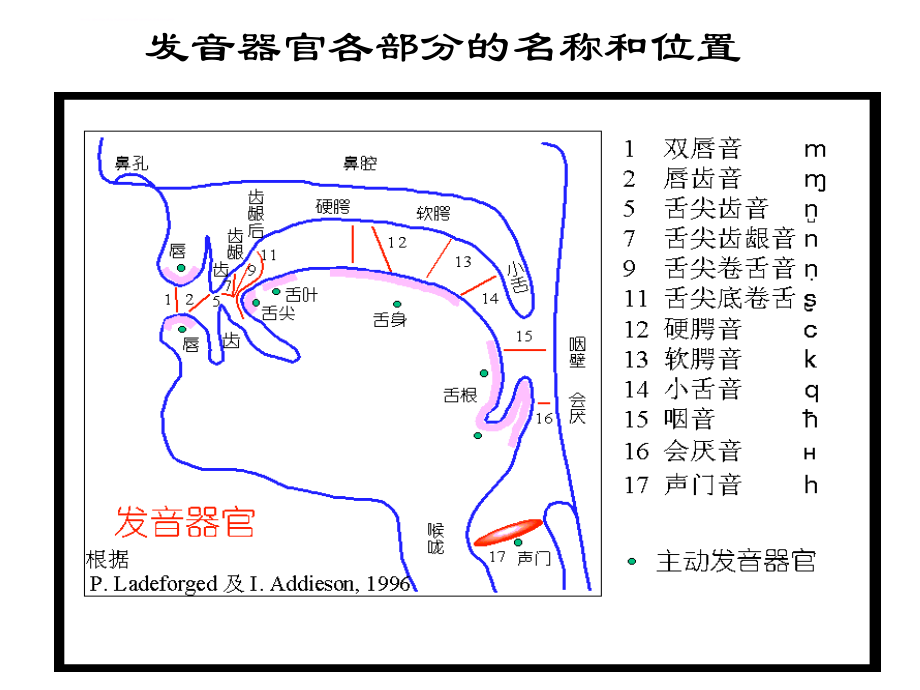 普通话语音训练教案.ppt_第4页