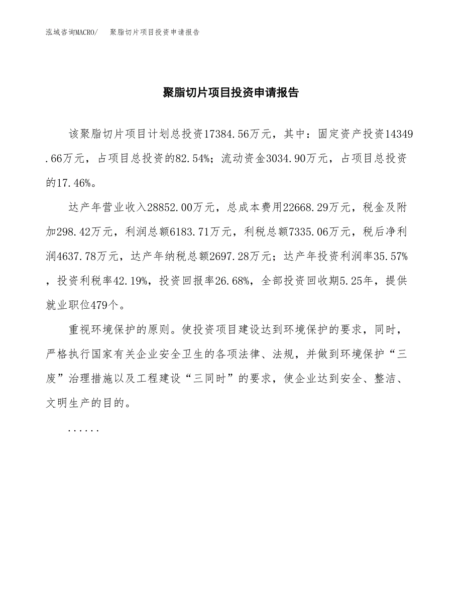 聚脂切片项目投资申请报告模板.docx_第2页