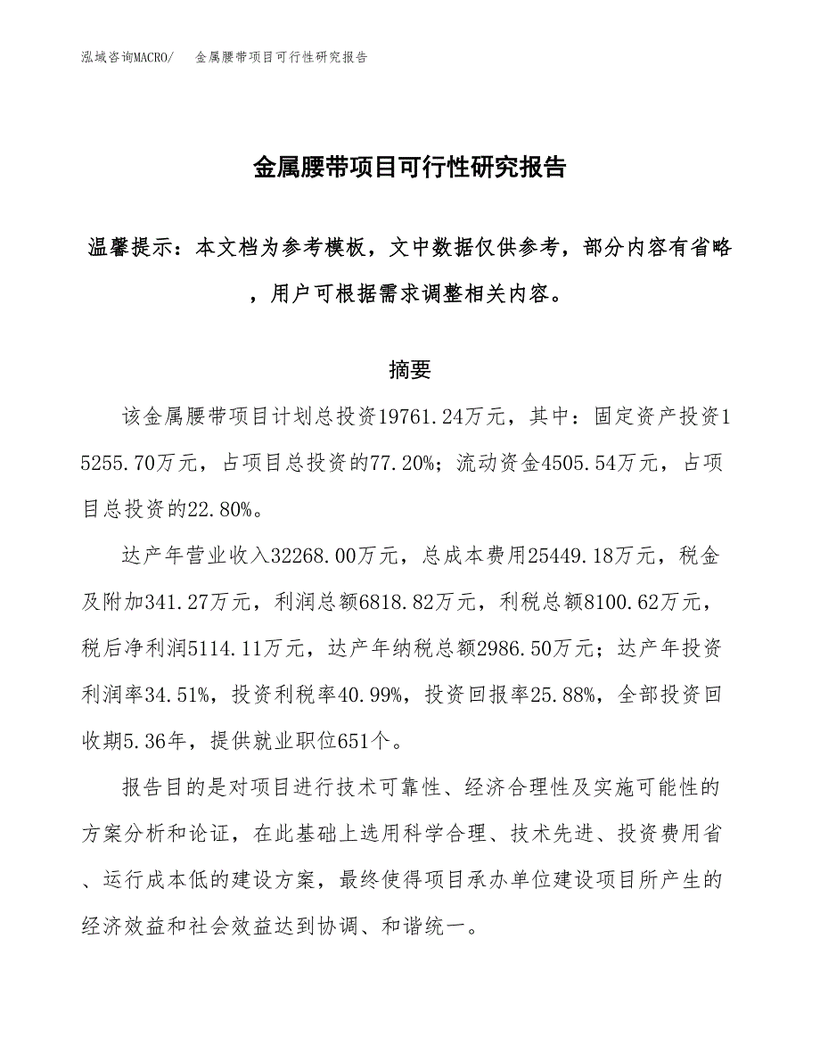 金属腰带项目可行性研究报告范本大纲.docx_第1页