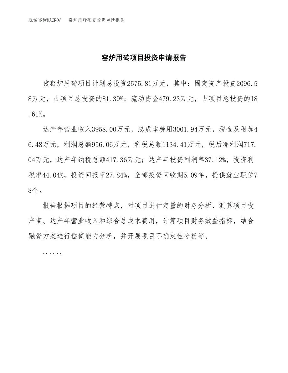 窑炉用砖项目投资申请报告模板.docx_第2页