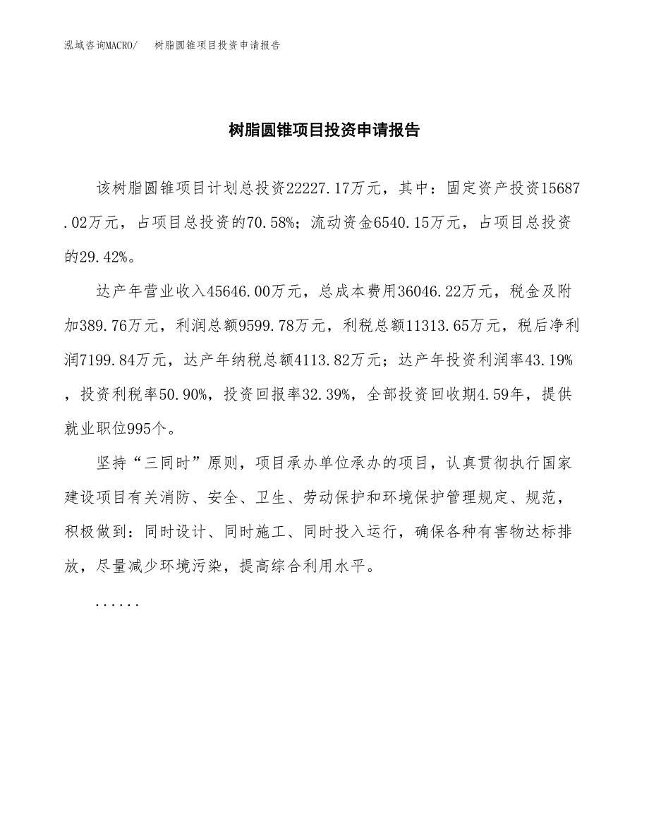 树脂圆锥项目投资申请报告模板.docx_第2页