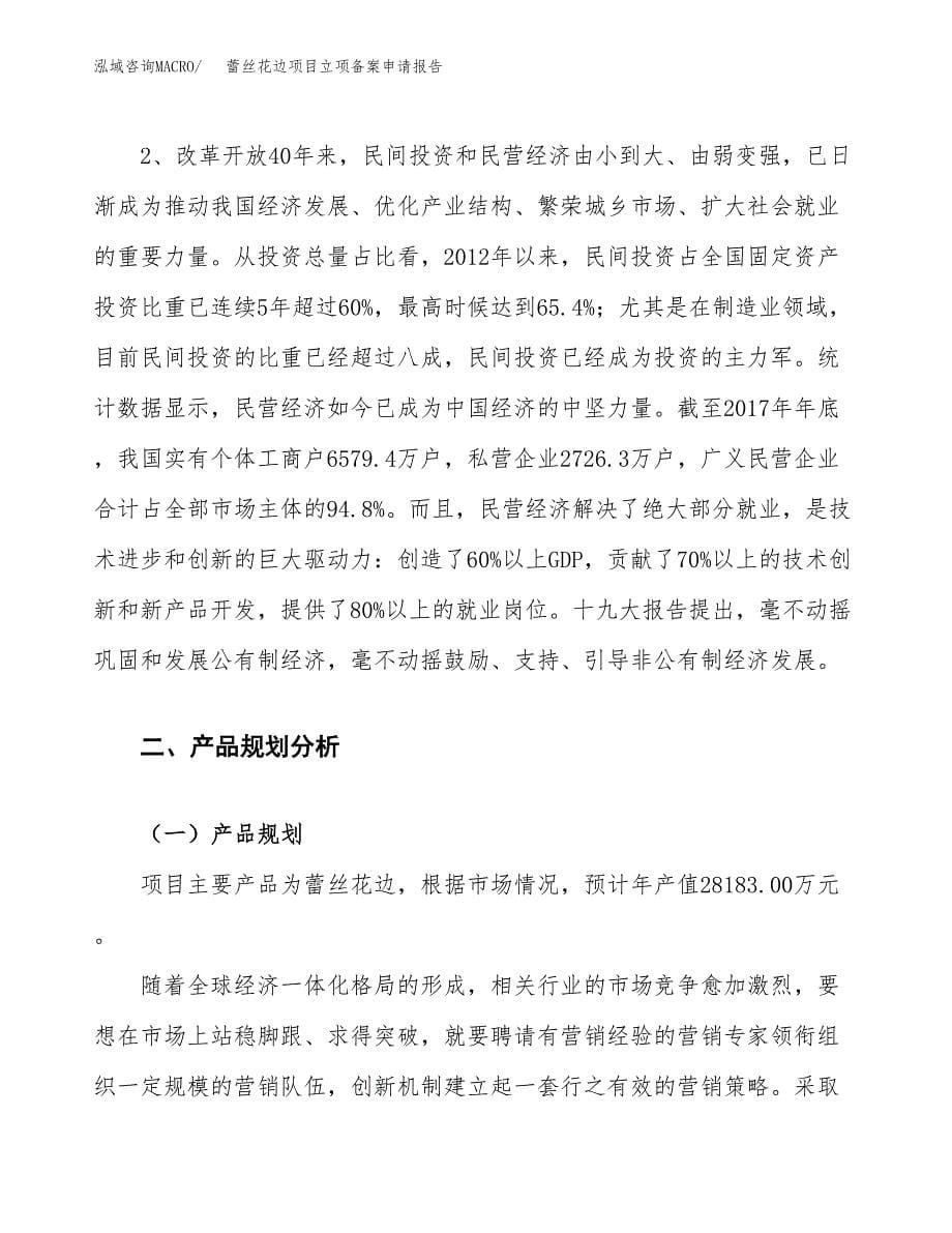 蕾丝花边项目立项备案申请报告.docx_第5页