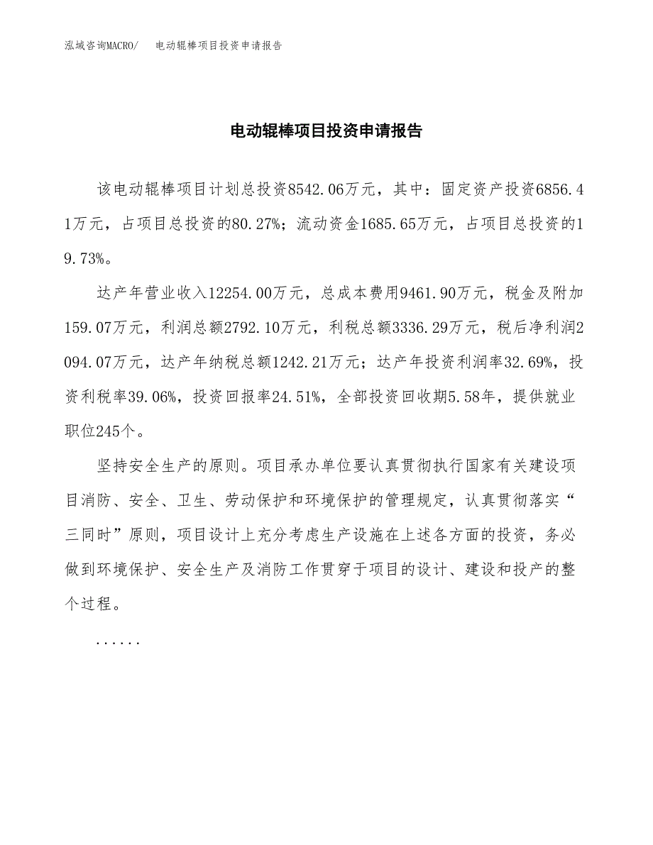 电动辊棒项目投资申请报告模板.docx_第2页