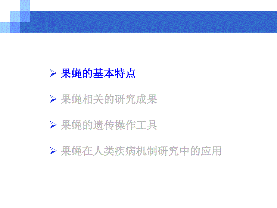 模式生物-果蝇.ppt_第3页