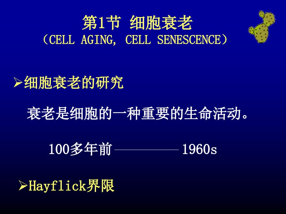 细胞凋亡作用机理_第3页