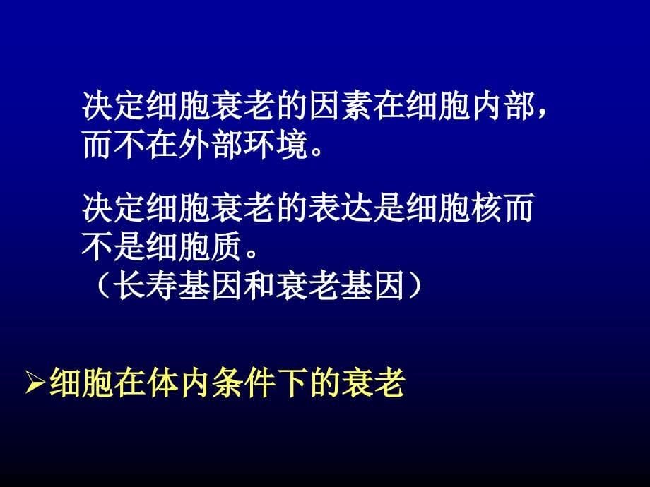 细胞凋亡作用机理_第5页