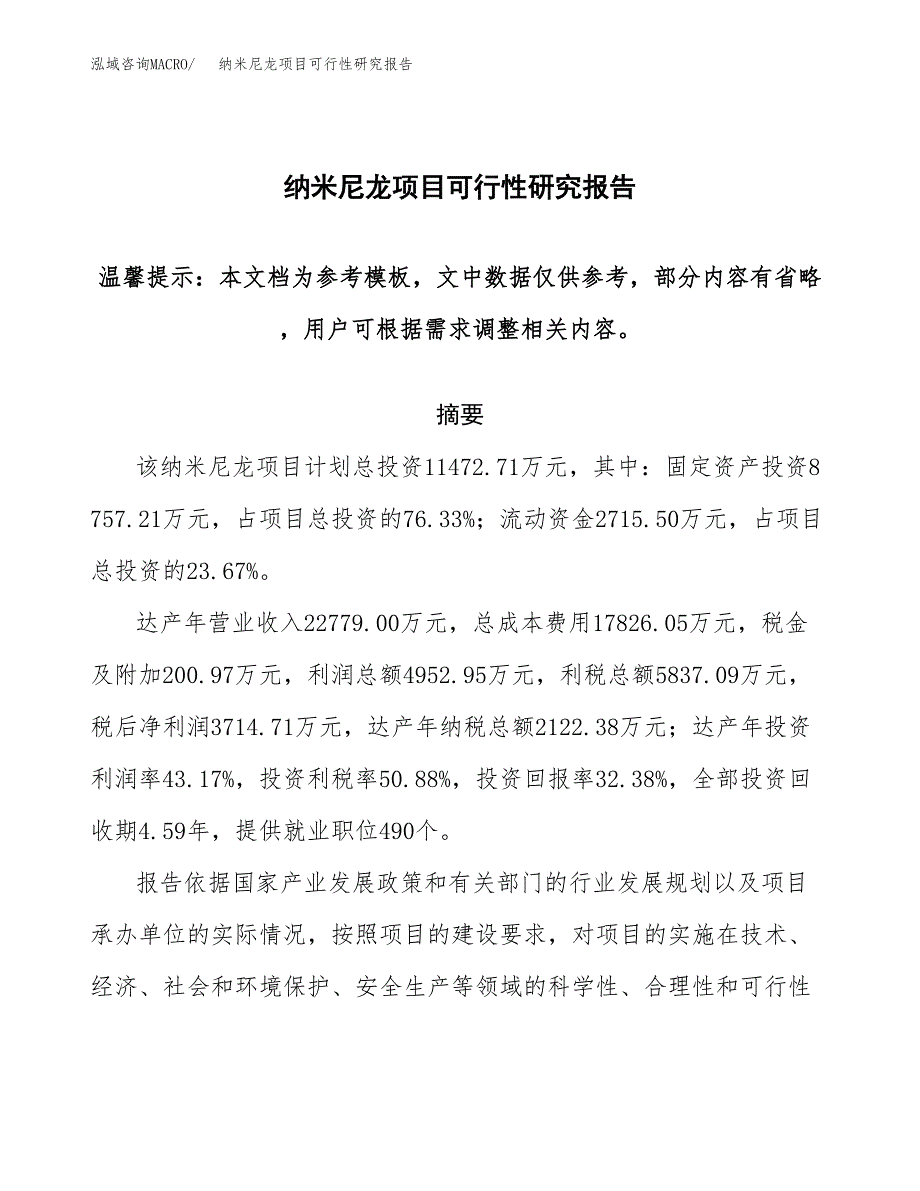 纳米尼龙项目可行性研究报告范本大纲.docx_第1页