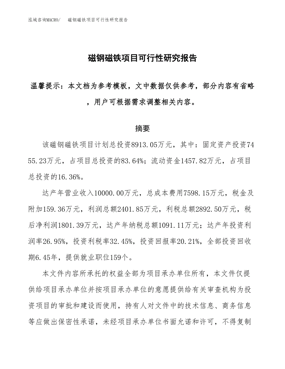 磁钢磁铁项目可行性研究报告范本大纲.docx_第1页