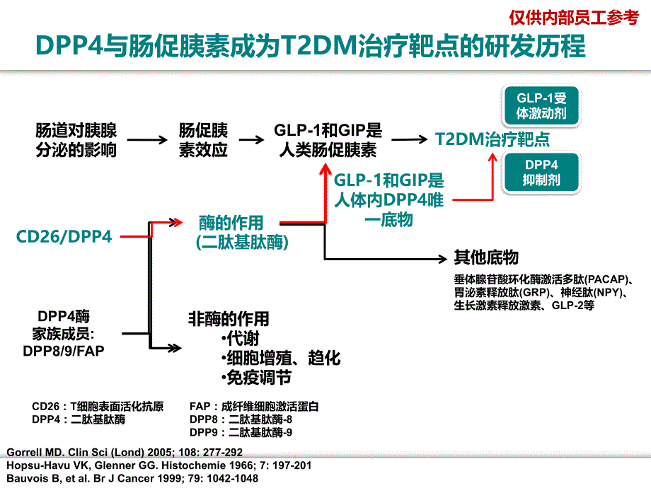 DPP酶的生理功能及药理作用_第3页