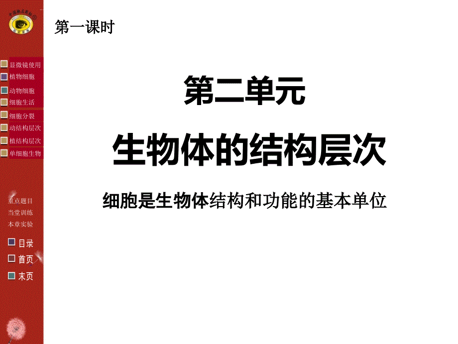 新人教版七年级生物上册第二单元复习课件.ppt_第3页