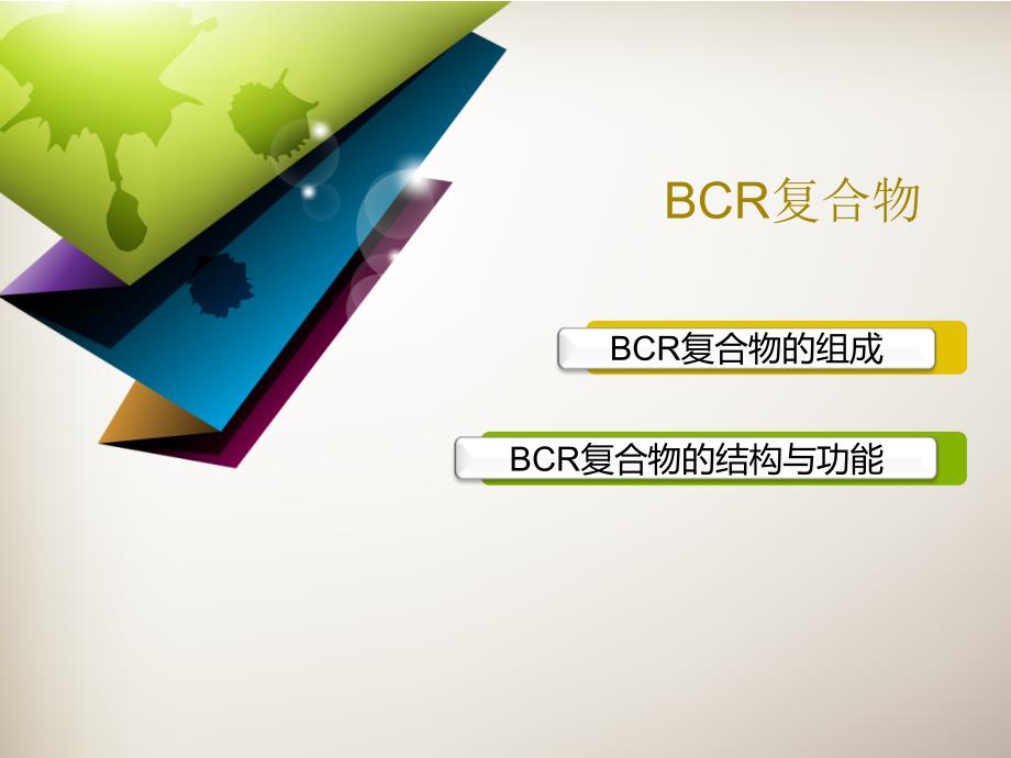 BCR复合物_第2页