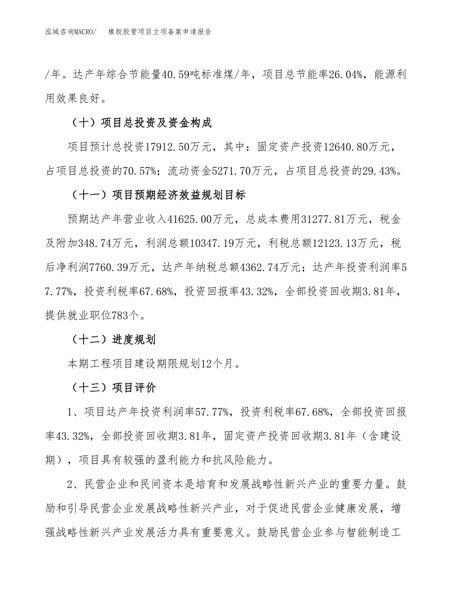 橡胶胶管项目立项备案申请报告.docx_第4页