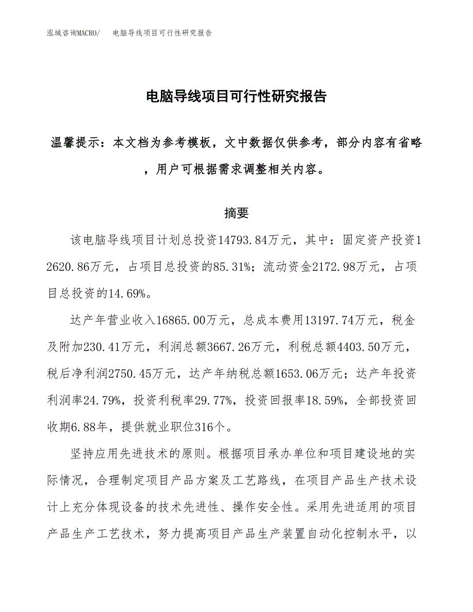 电脑导线项目可行性研究报告范本大纲.docx_第1页